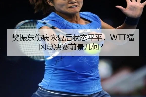 樊振东伤病恢复后状态平平，WTT福冈总决赛前景几何？