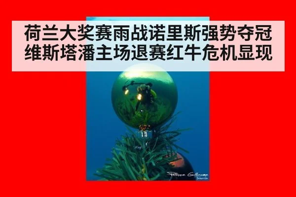 荷兰大奖赛雨战诺里斯强势夺冠 维斯塔潘主场退赛红牛危机显现